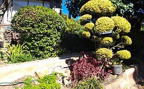 Aviators Retreat B&B
